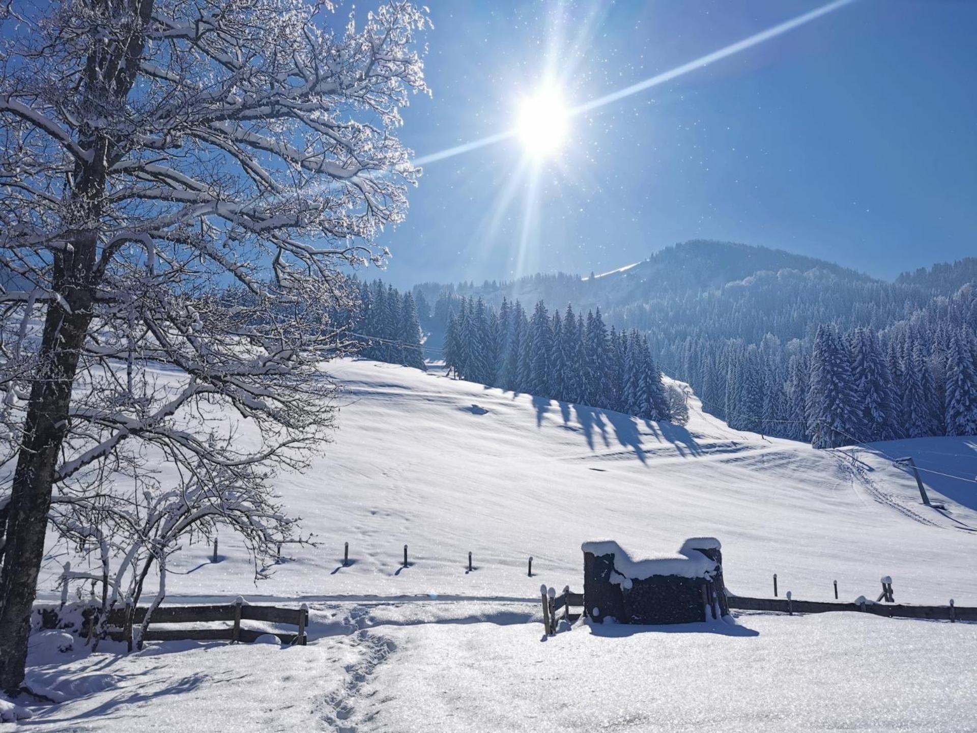 אוברשטאופן Konstanzer Bergblick Mit Wintergarten מראה חיצוני תמונה