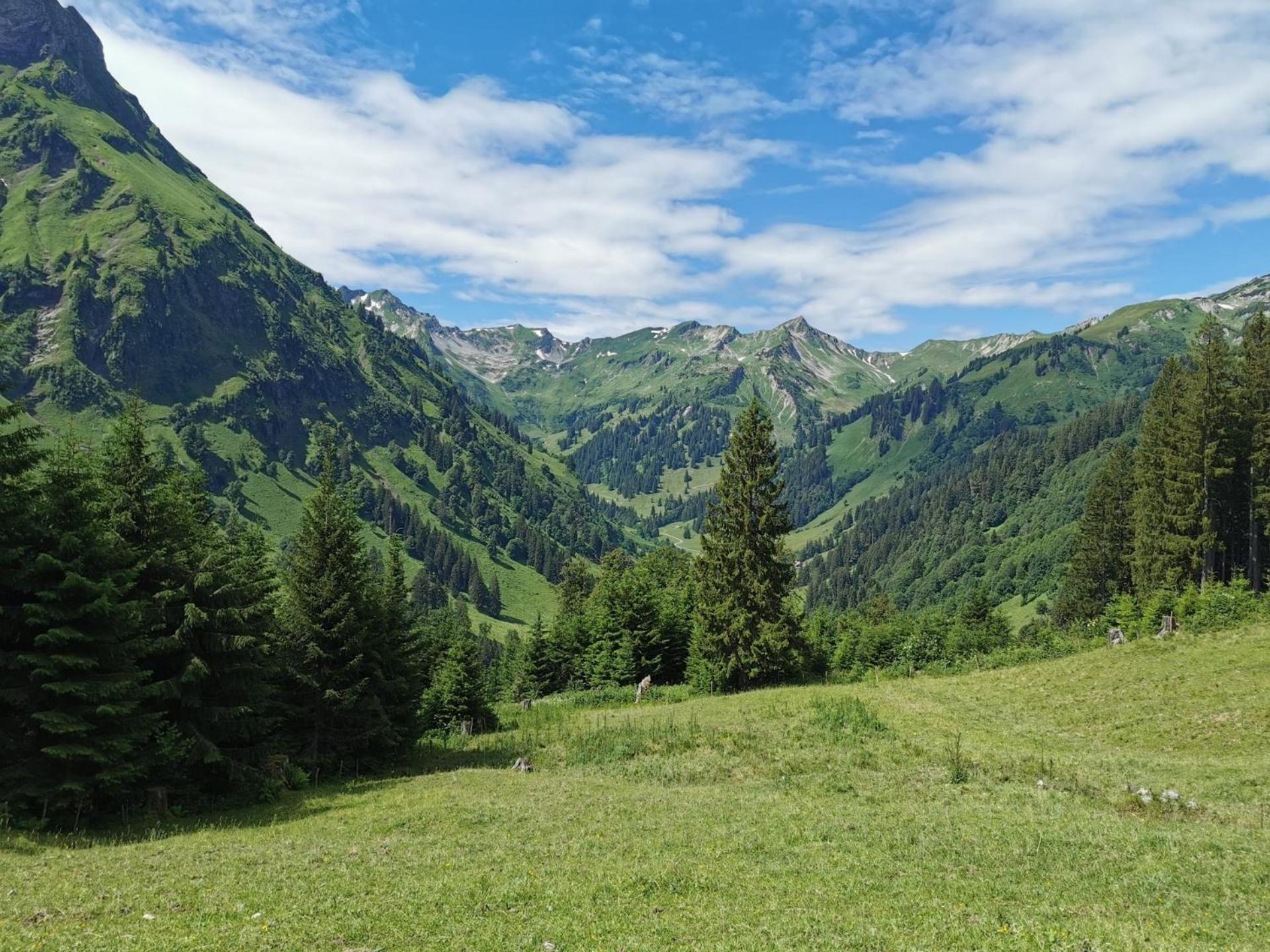 אוברשטאופן Konstanzer Bergblick Mit Wintergarten מראה חיצוני תמונה